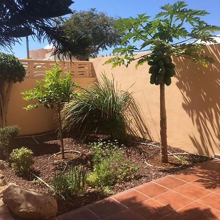 Independiente Estudio En Acogedora Casita De Mai Costa Adeje  Exterior foto
