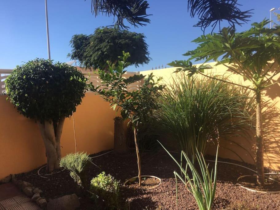 Independiente Estudio En Acogedora Casita De Mai Costa Adeje  Exterior foto