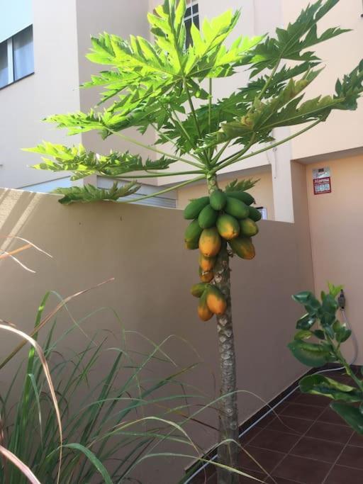 Independiente Estudio En Acogedora Casita De Mai Costa Adeje  Exterior foto
